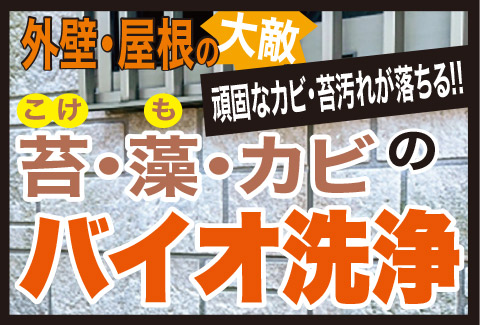 足立区 葛飾区 江戸川区の外壁塗装・屋根塗装専門会社なら外装信用ワン（株式会社あらたに）